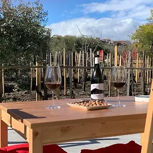 Casa vacanze La Casa Nel Vigneto Di Tenuta Bastonaca, Solicchiata